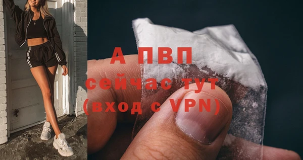 твердый Алексеевка