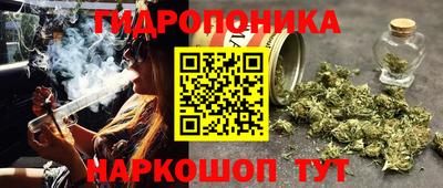 гашишное масло Малгобек